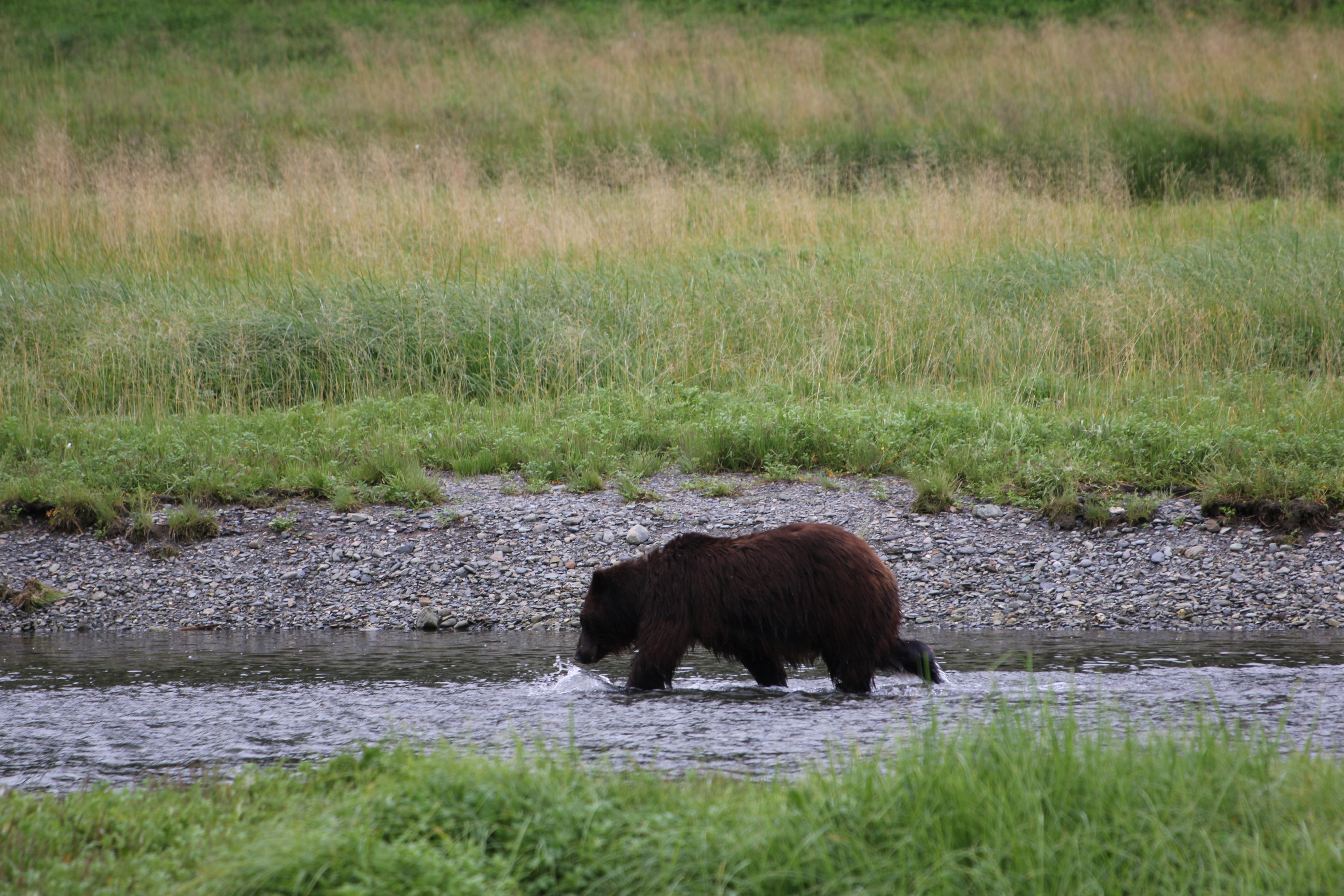 Alaska